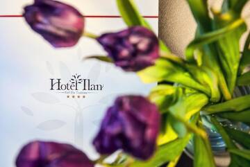 Фото номера Апартаменты Отель Hotel Ilan г. Люблин 6
