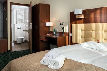 Фото номера Стандартный номер с кроватью размера &quot;king-size&quot; Отель Hotel Royal Botanic г. Люблин 3