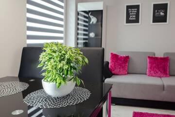 Фото Апартаменты Apartamenty Szewska 7 STREET by Apartamenty Lubelskie г. Люблин 1